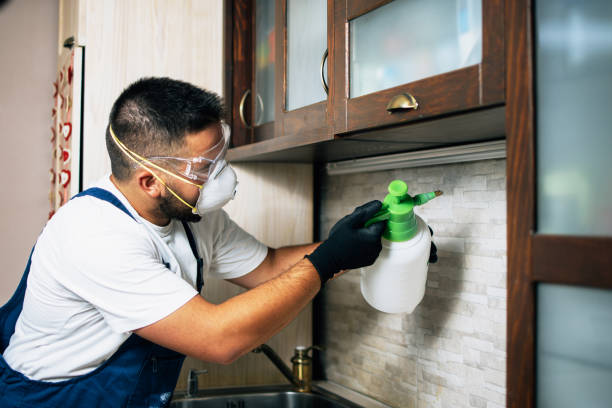 Best Pest Inspection Near Me  in Emeryville, CA