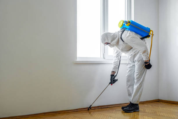 Best Residential Pest Control  in Emeryville, CA
