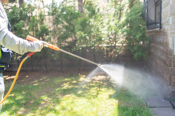 Best Pest Control for Businesses  in Emeryville, CA