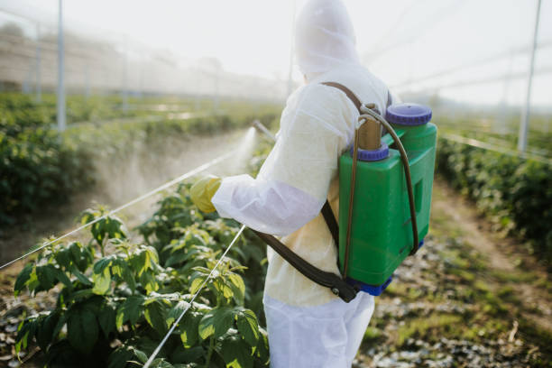 Best Affordable Pest Control Services  in Emeryville, CA